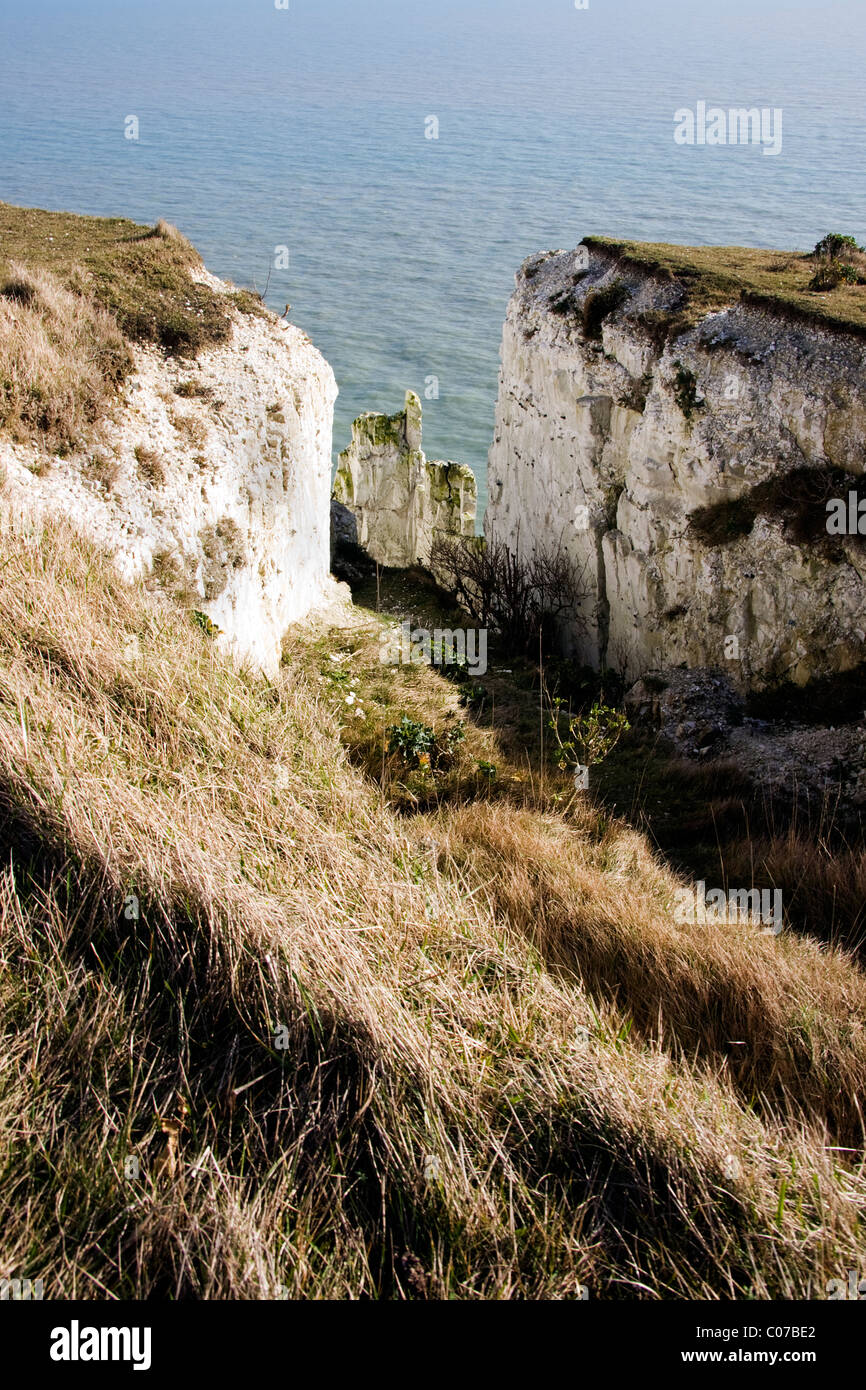 Coastal views of the White Cliffs of Dover on National Trust land with spectacular, hair raising