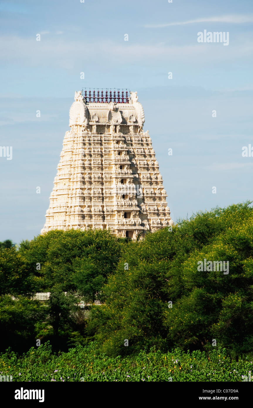 Low angle view of a temple, Tirumala Venkateswara Temple, Tirupati ...