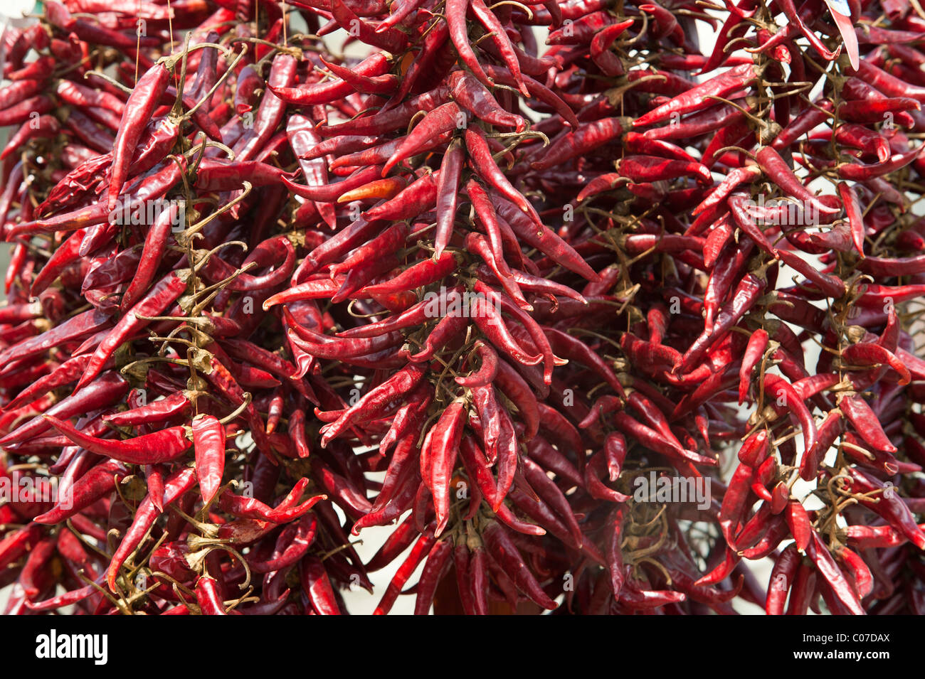 Chili peppers, dried peppers Stock Photo Alamy