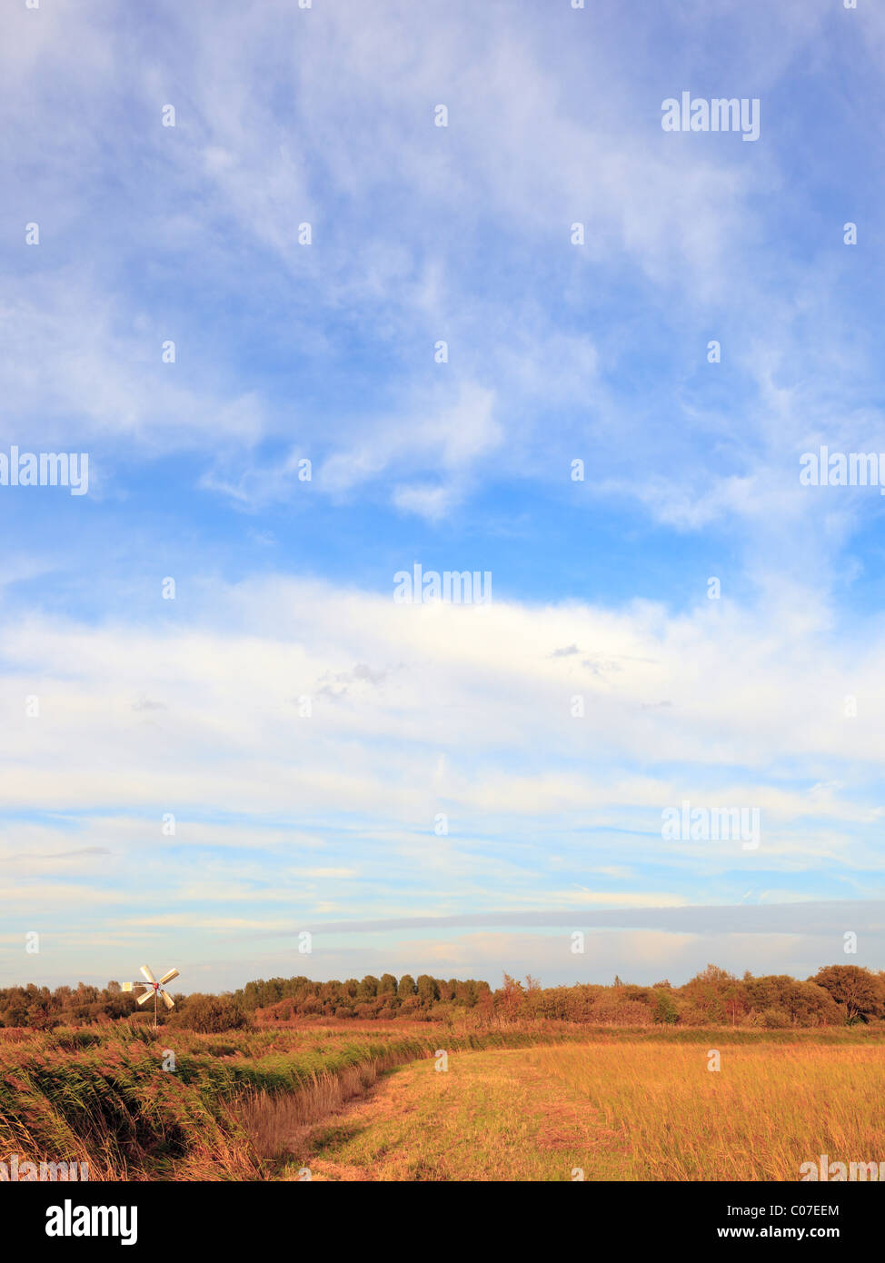 Yellow field of grass with windmill under blue cloudy sky Stock Photo ...