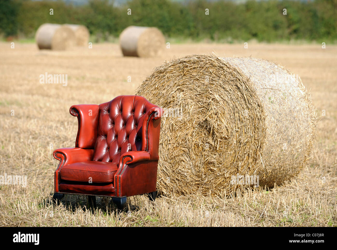 An antique red leather armchair in a field of harvested hay UK Stock Photo