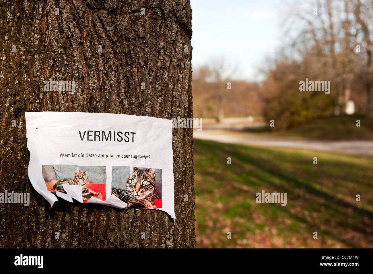 Piece of paper attached to a tree, cat missing, in German language Stock Photo