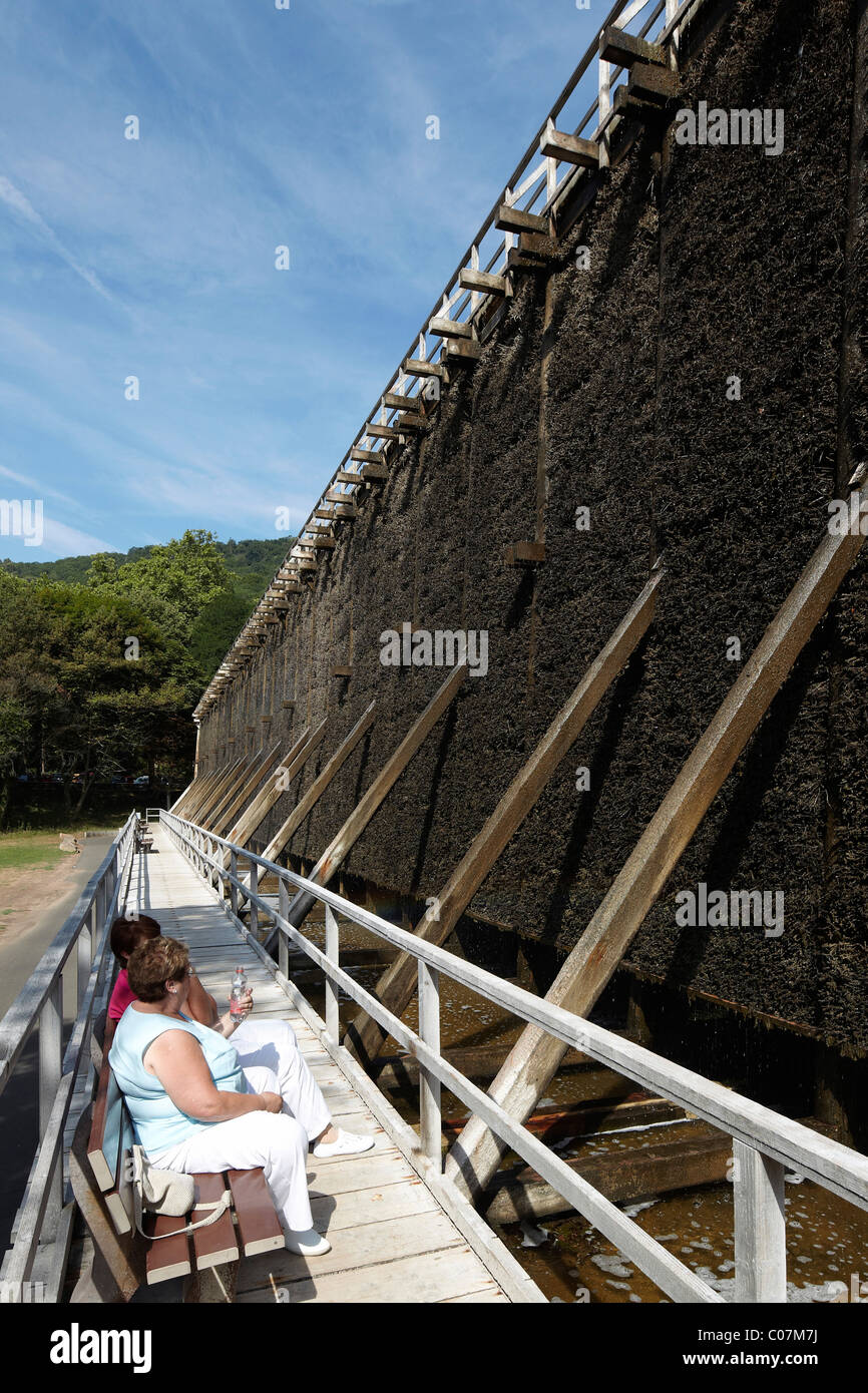 Graduation works in Salinental Valley of Bad Kreuznach, Rhineland-Palatinate, Germany, Europe Stock Photo