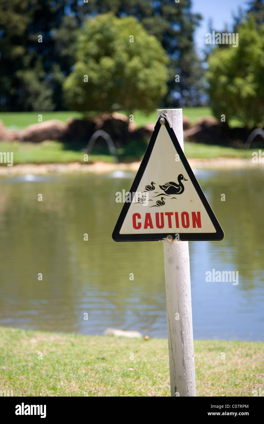 Caution (ducks crossing) sign Stock Photo