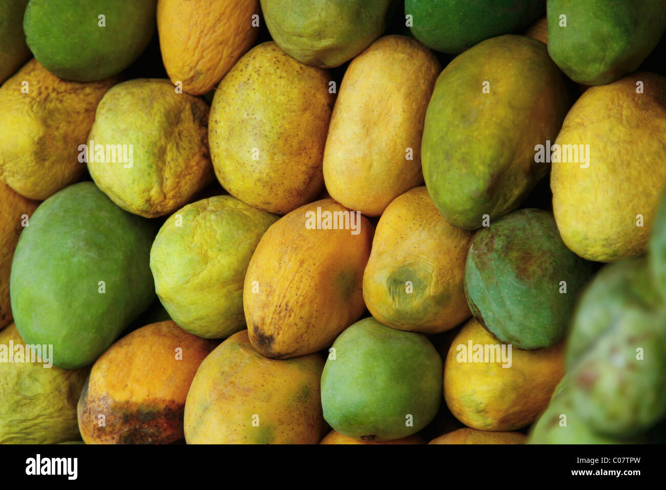 Close-up of mangoes Stock Photo