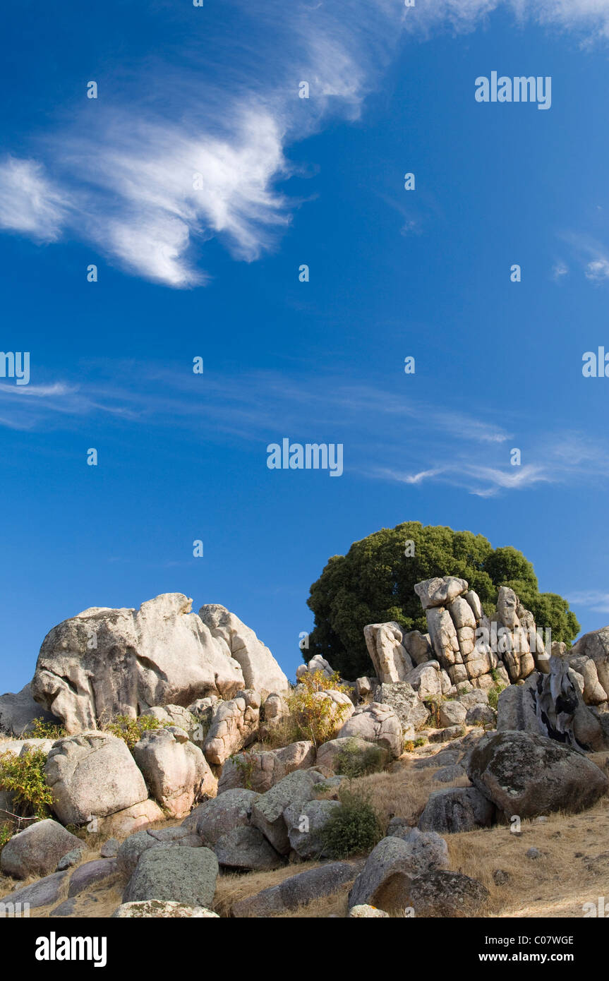 Archaeological site of the Neolithic Age, Filitosa, Corsica, France, Europe Stock Photo