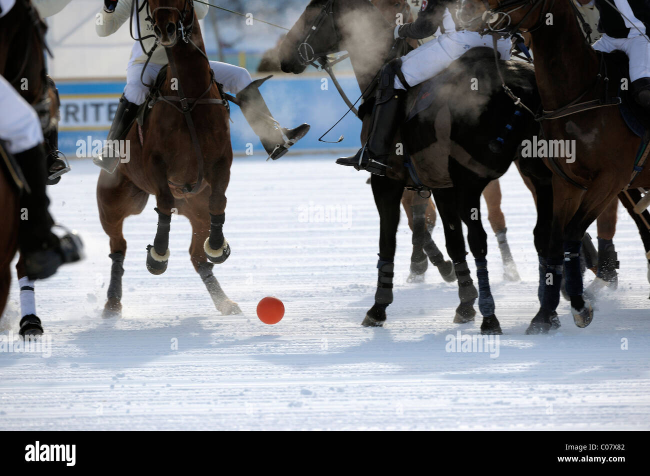 Polospieler kaempfen um den Ball, Poloturnier, 26. St. Moritz Polo World Cup on Snow, St. Moritz, Upper Engadin, Engadin Stock Photo