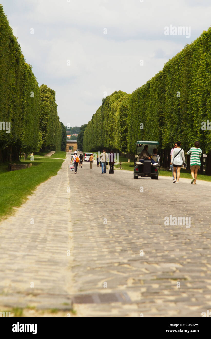 Tourists in a golf cart, Chateau de Versailles, Versailles, Paris