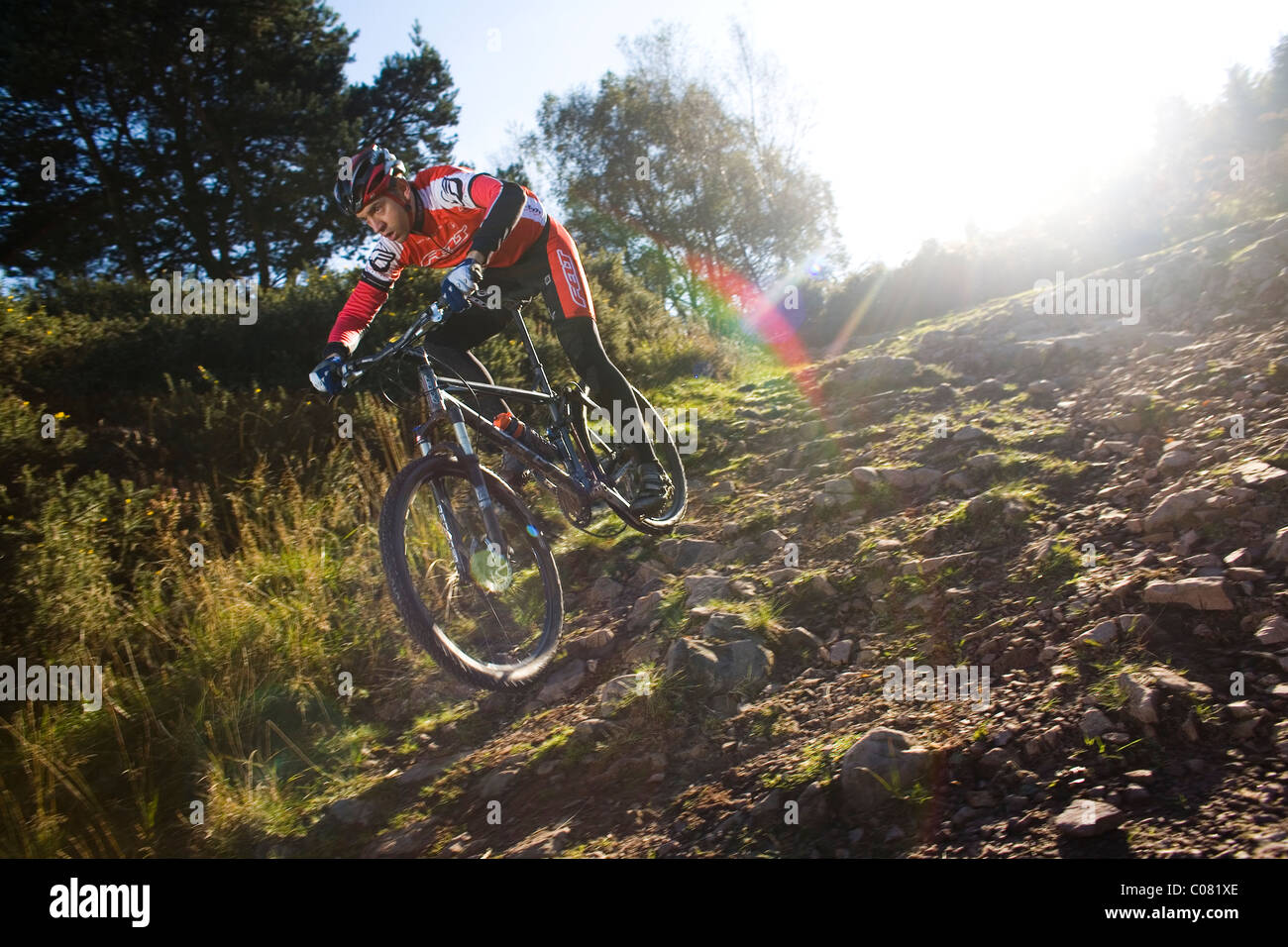 Man rides Mountain bike off road in United Kingdom Stock Photo Alamy