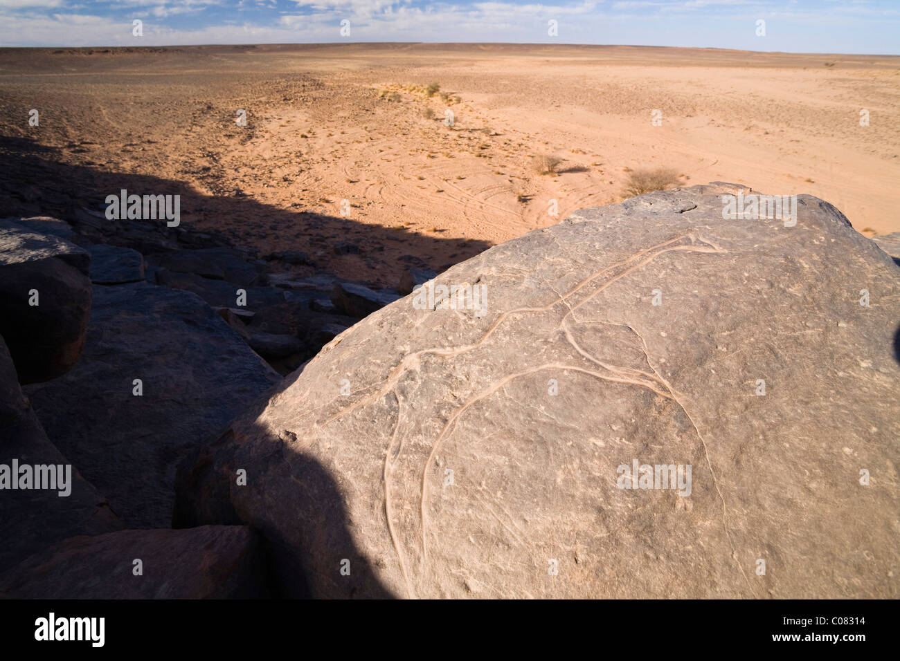 Stone engravings in stone desert, Libya, Sahara, North Africa Stock Photo