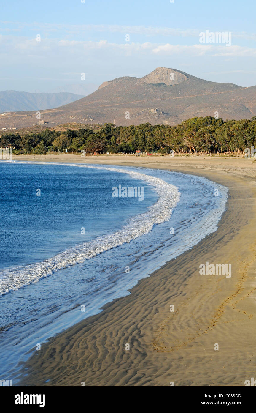 Empty wide beach, coast, sea, Pichidangui, Los Vilos, small seaside resort, Norte Chico, northern Chile, Chile, South America Stock Photo