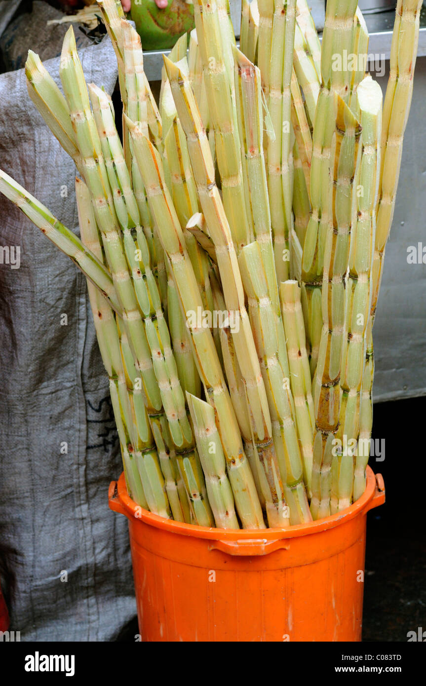 orange bucket filed with raw sugar cane food snack sugar source Stock Photo