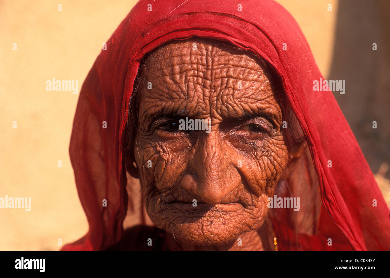 Portrait, old woman in a red sari, Thar Desert, Rajasthan, India, Asia Stock Photo