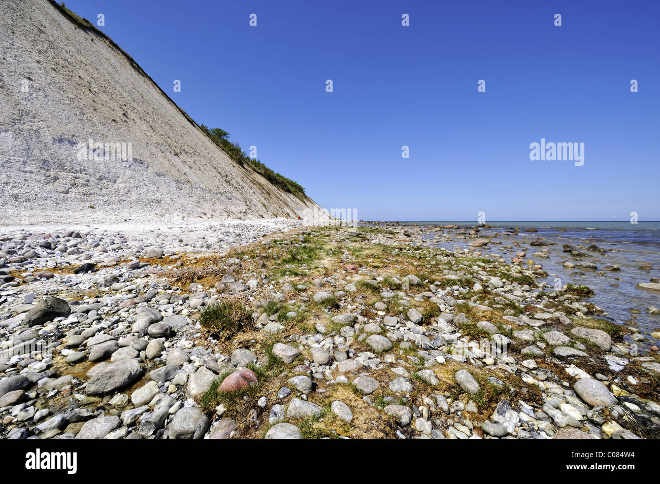 Gravel beach with vegetation and chalk cliffs on the Baltic Sea shore