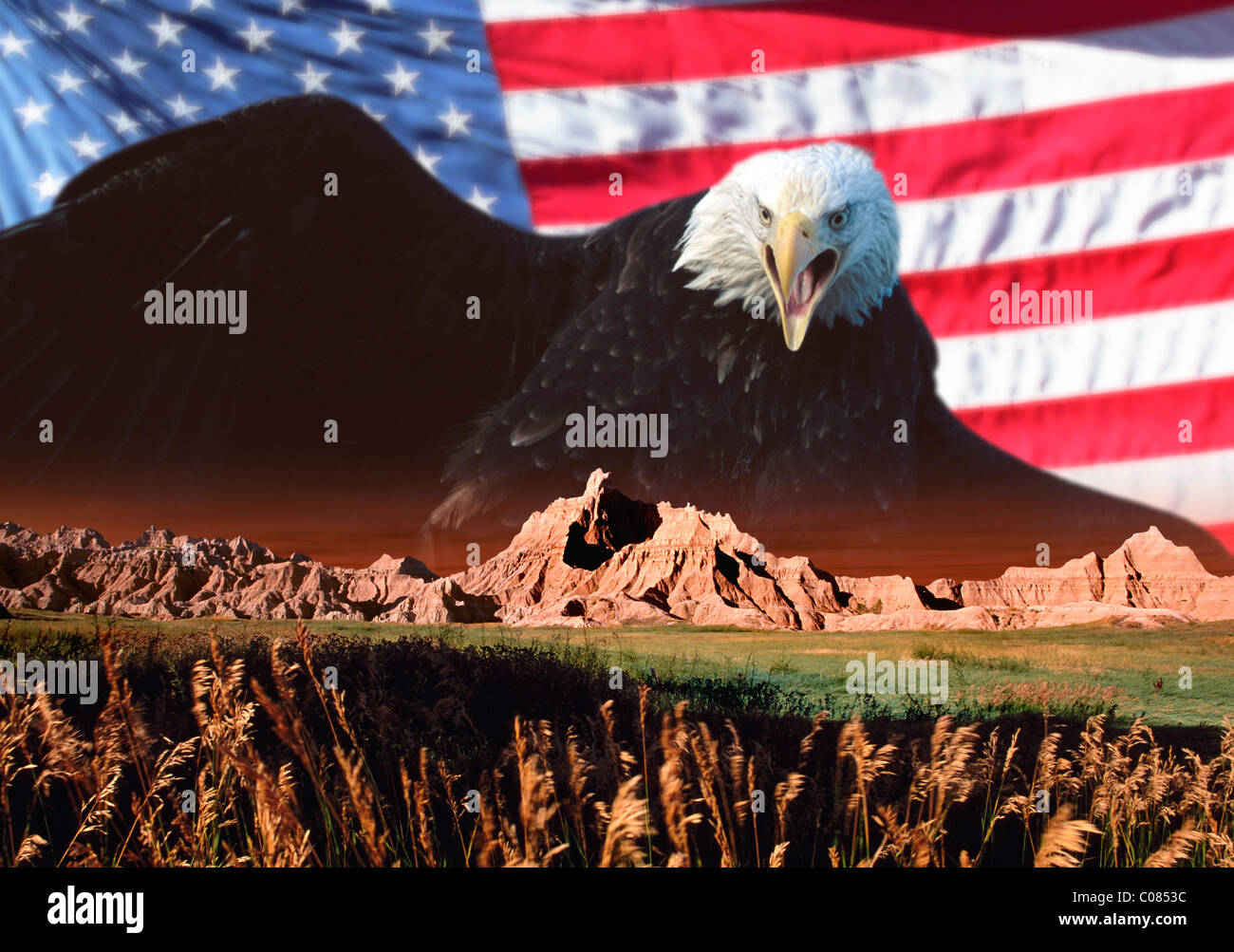 American symbols, Bald Eagle & Flag Stock Photo