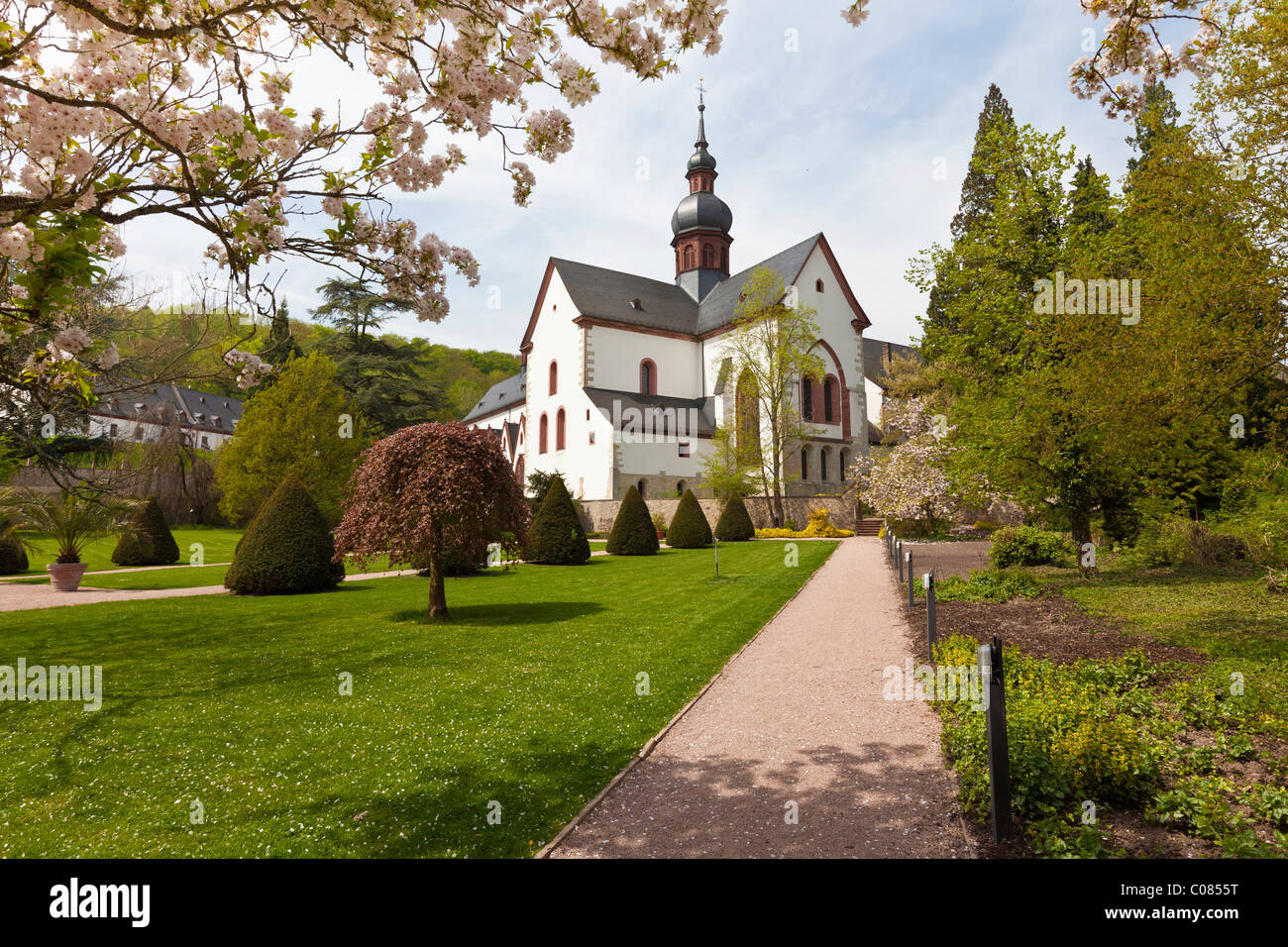 Basilica, abbey church, Kloster Eberbach Abbey, Eltville am Rhein, Rheingau, Hesse, Germany, Europe Stock Photo