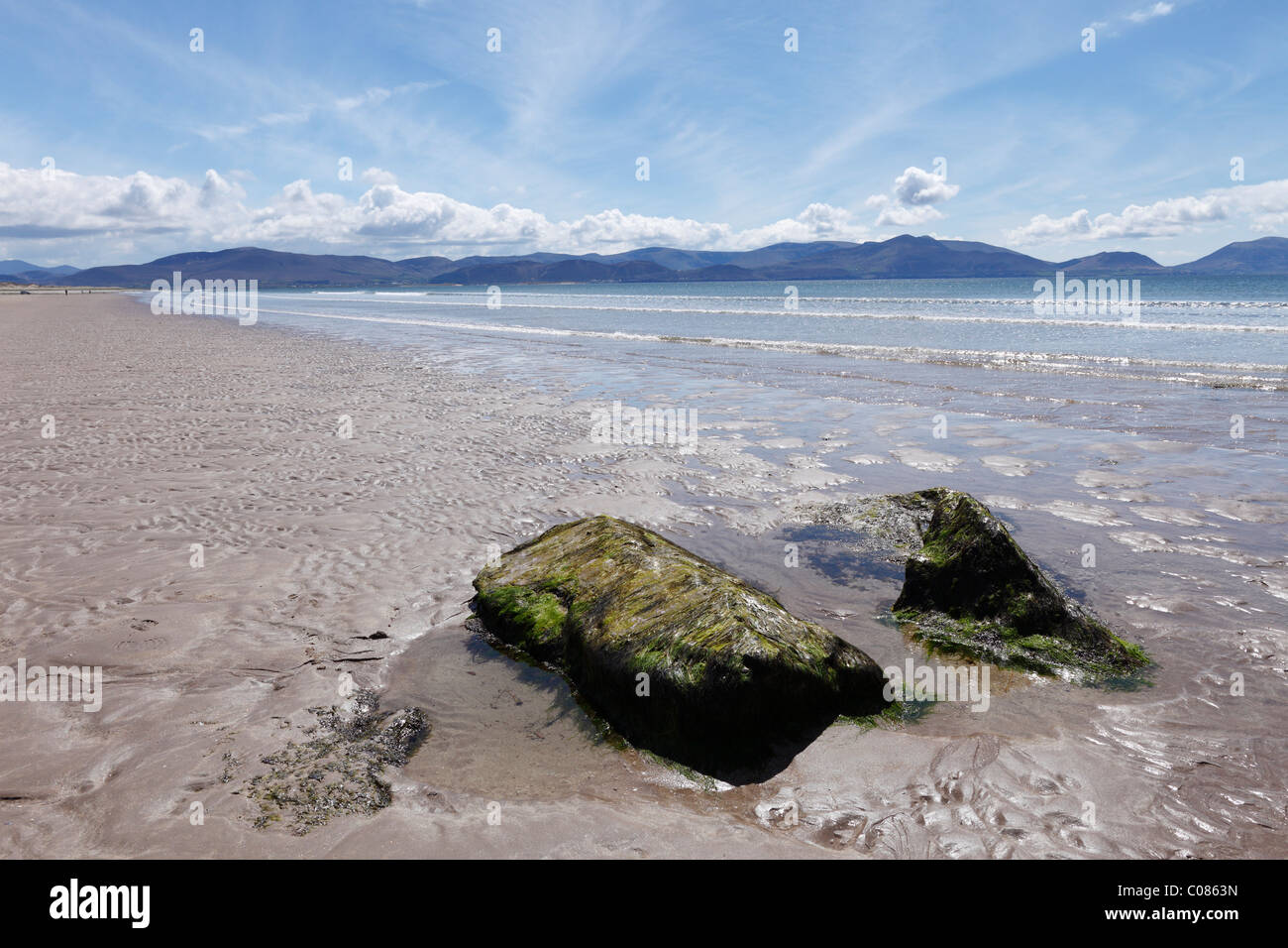 Inch beach, Dingle Bay, Dingle Peninsula, County Kerry, Ireland, British Isles, Europe Stock Photo