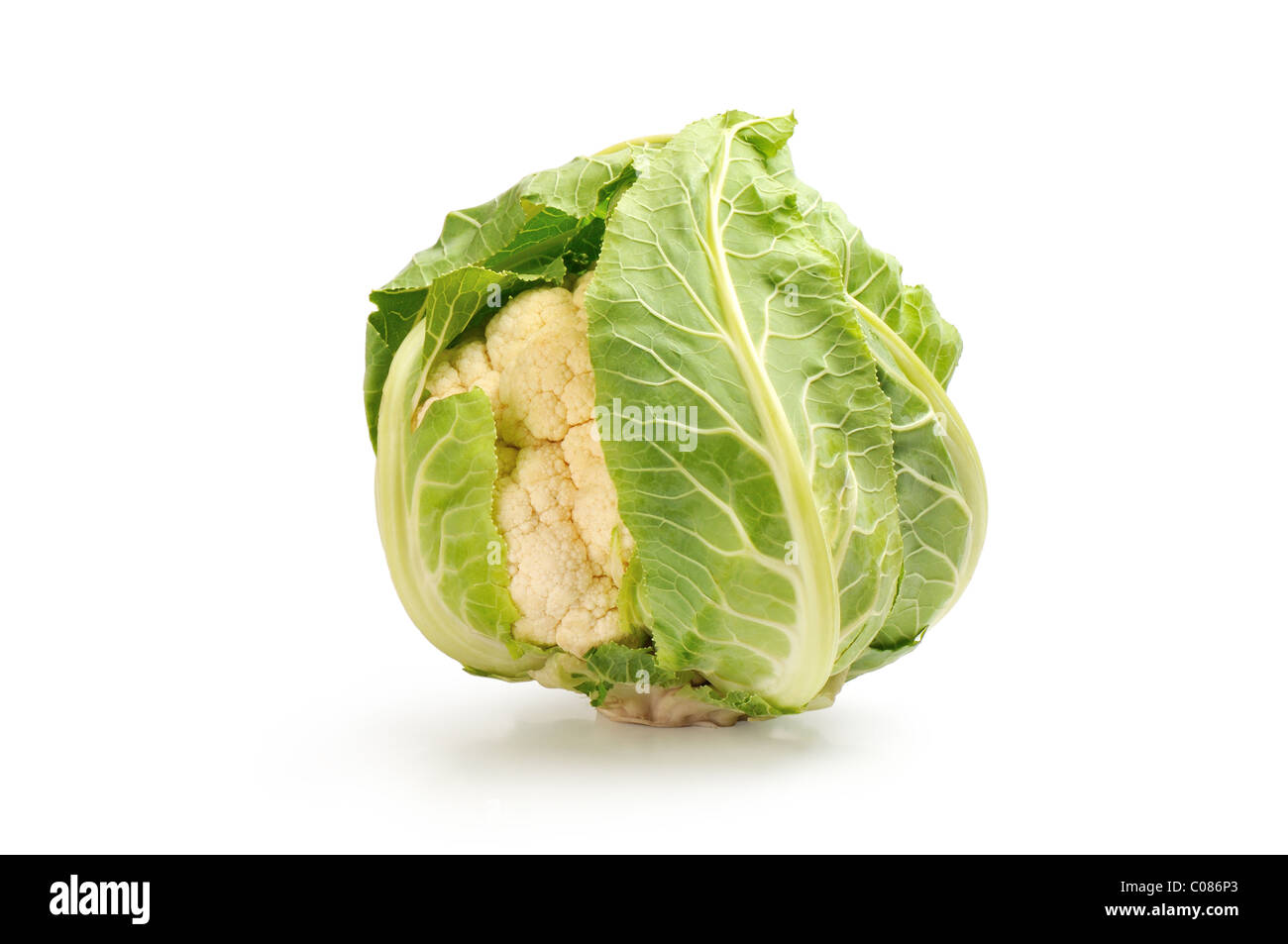 cauliflower on a white background Stock Photo