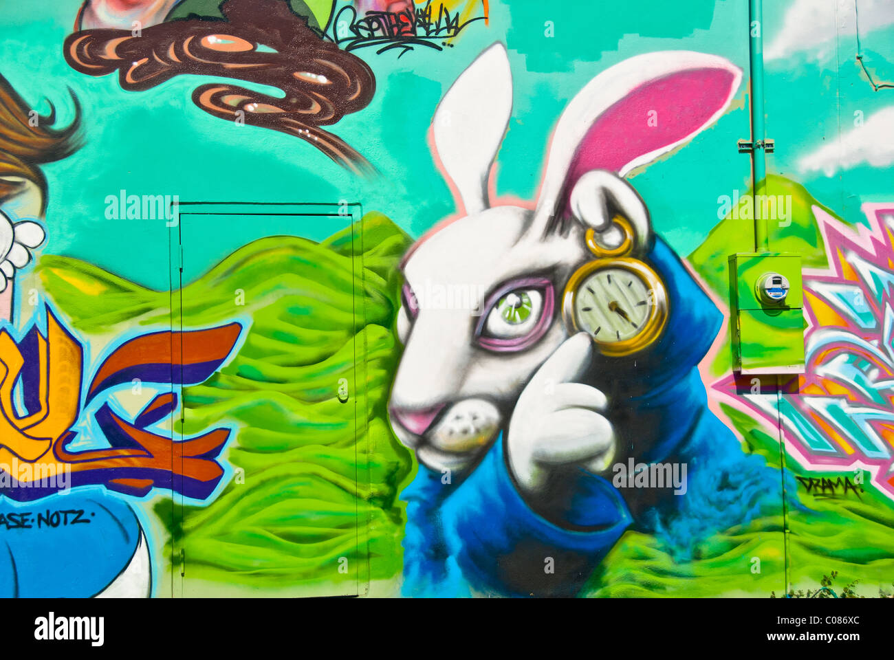 'Alice in Wonderland' graffiti wall art mural detail in Wynwood Art District of Miami, Florida, USA Stock Photo