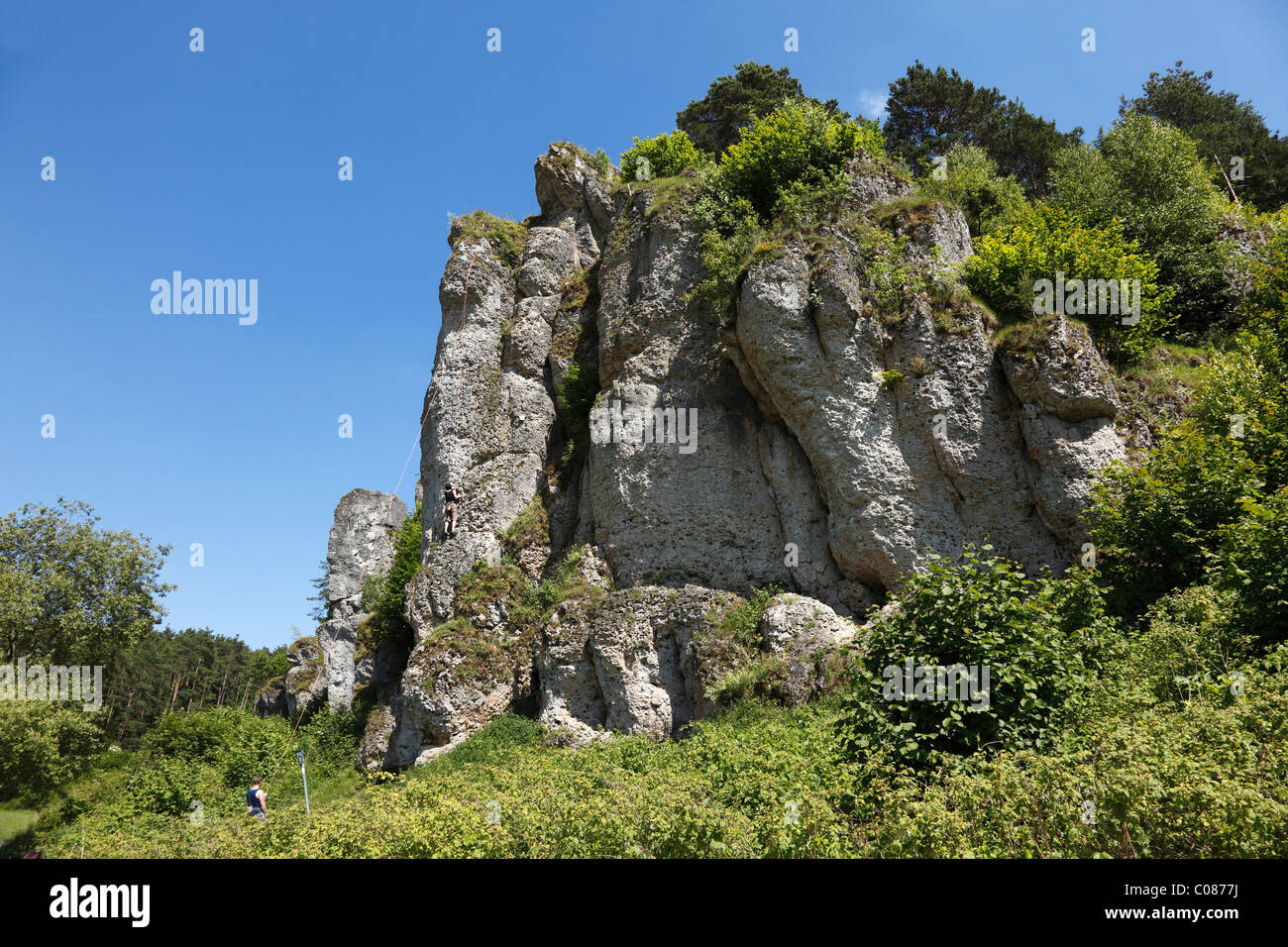 Climbing rock Steinfelder Wand, Franconian Switzerland, Franconian Alb, Franken Jura, Upper Franconia, Franconia, Bavaria Stock Photo