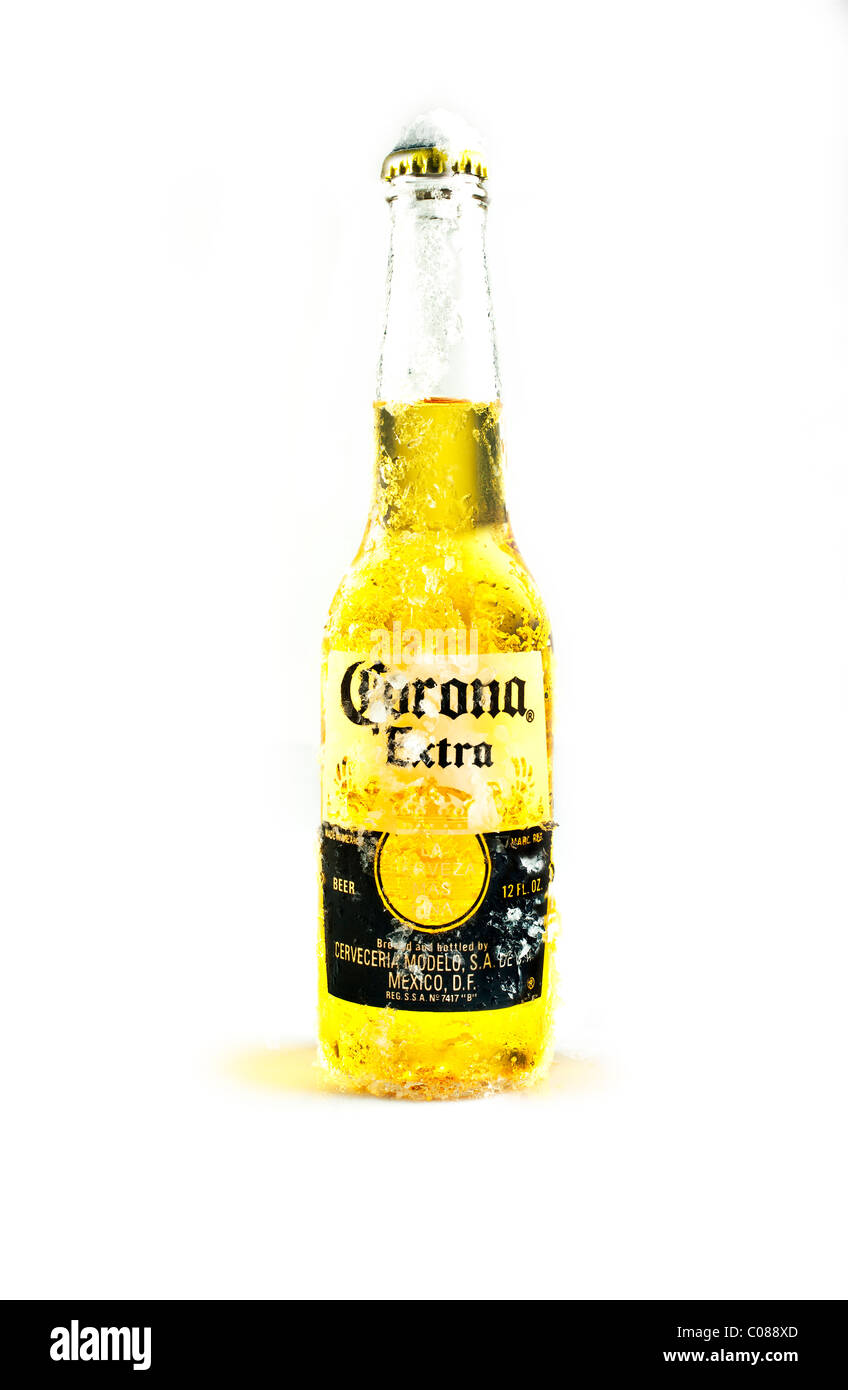 A Bottle of Corona Beer on a white background. Stock Photo