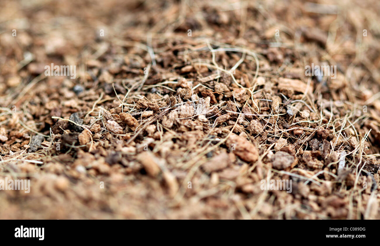 close up of brown mulch good for use as a background Stock Photo Alamy