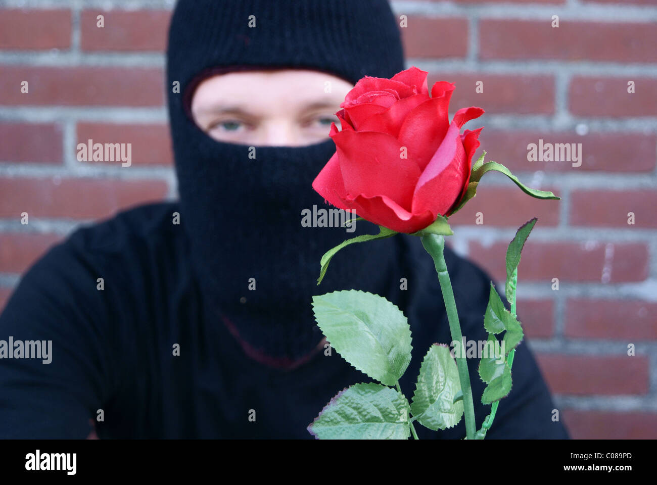 Download Mask With Rose High Resolution Stock Photography And Images Alamy PSD Mockup Templates