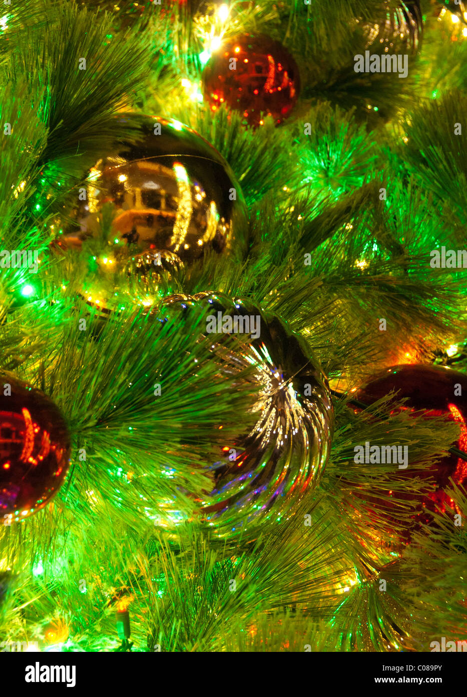 close up of christmas tree and lighting and decorations at the village at gulfstream park - Outside Christmas Tree Decorations close up of christmas tree and lighting and decorations at the village at gulfstream park - Outside Christmas Tree Decorations