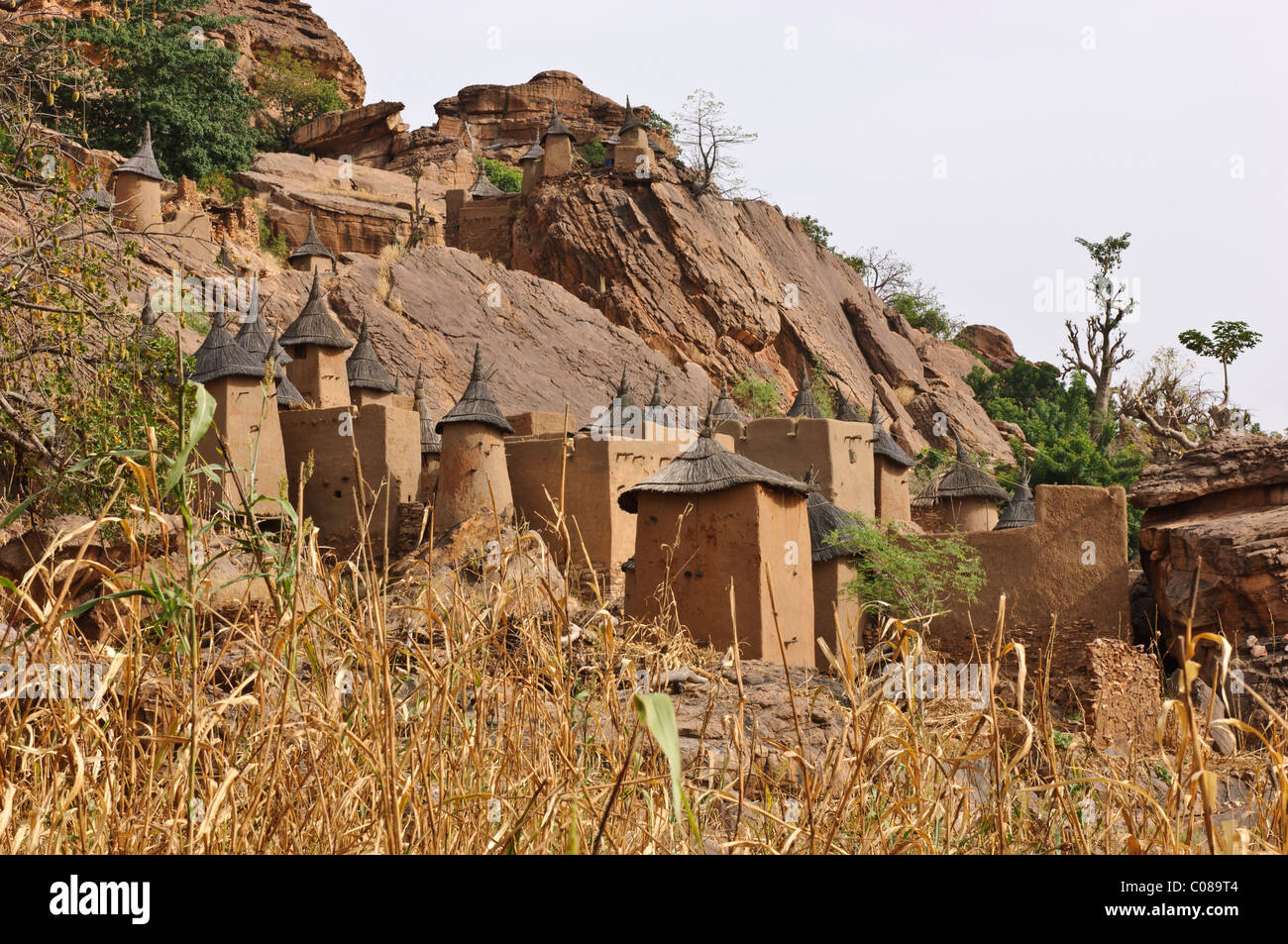 Houses and granaries of the Dogon village of Yendouma Ato. Pays Dogon, Mali Stock Photo