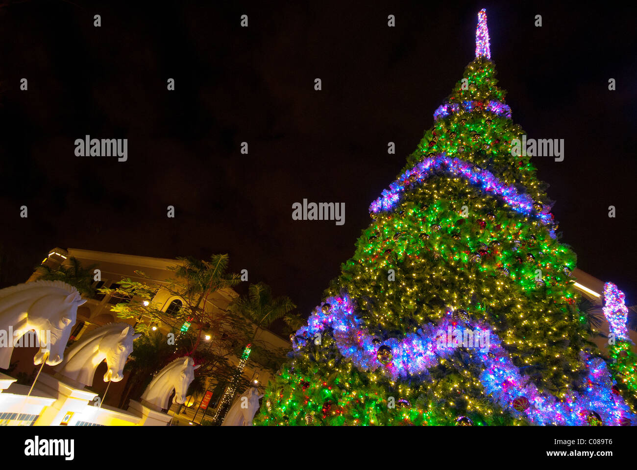 Christmas tree and lighting and decorations at The Village At