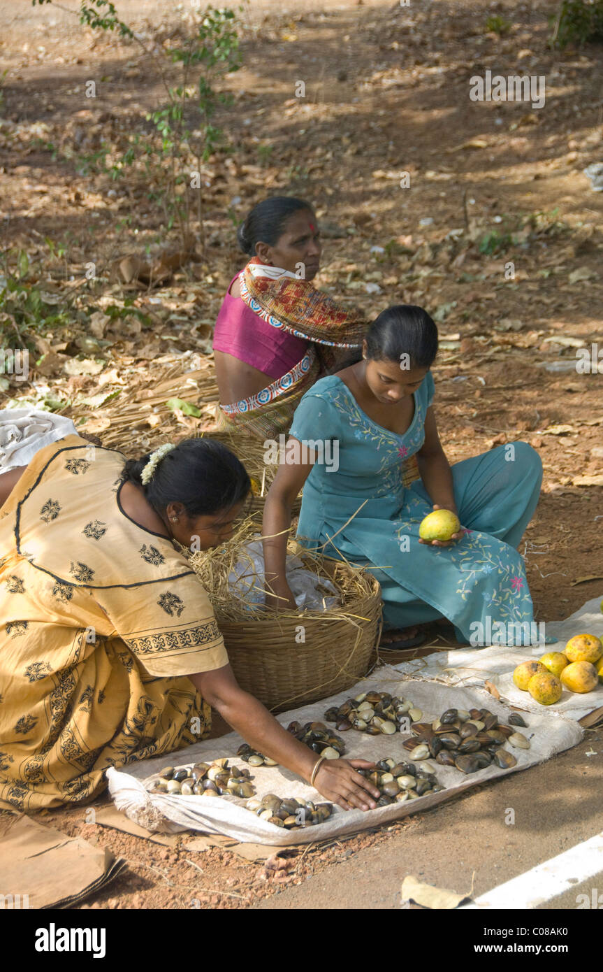 India, Goa, port city of Mormugao. Local vendors selling mangoes ...