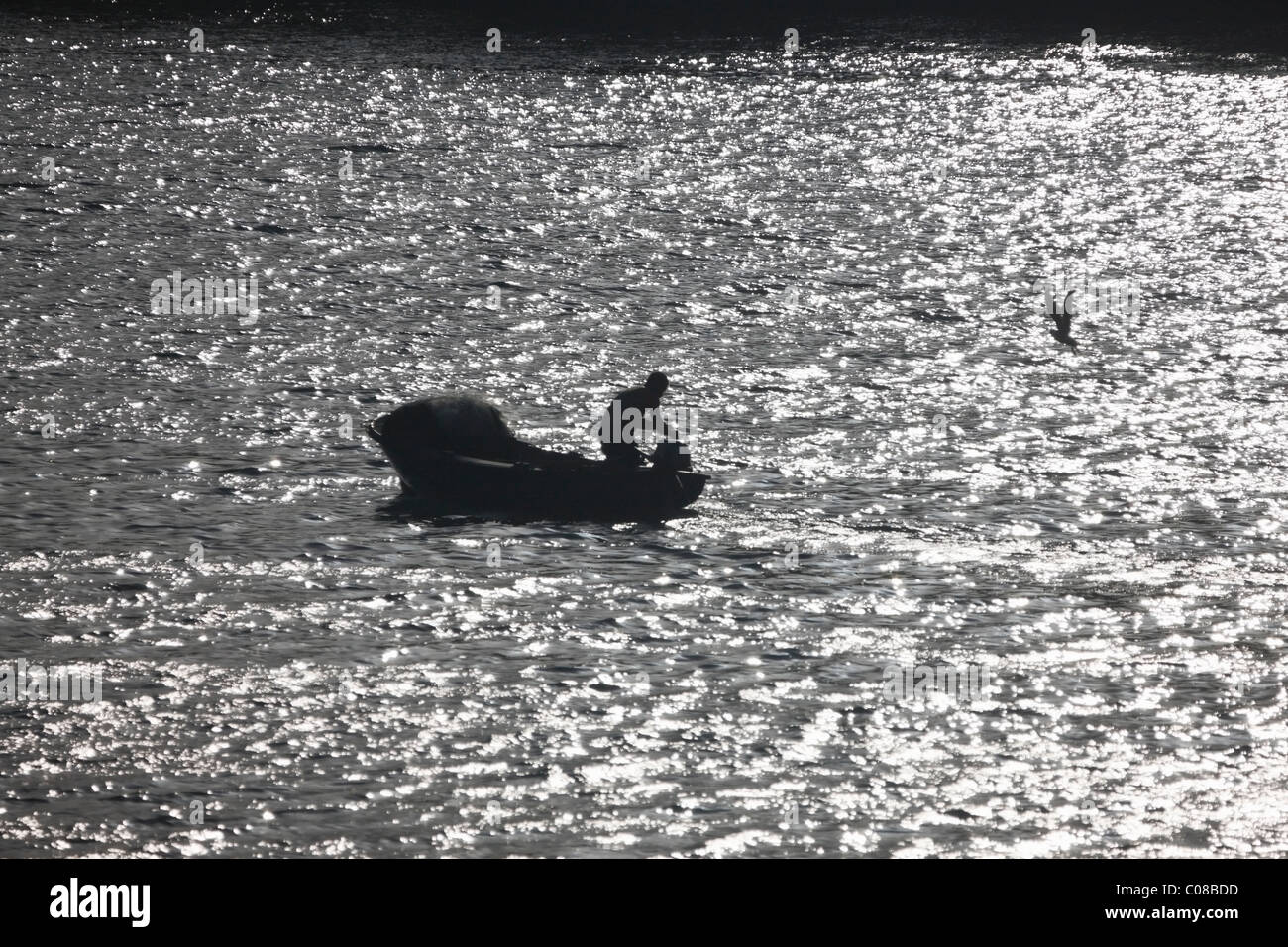 Fisherman at the river Krka, Croatia. Stock Photo