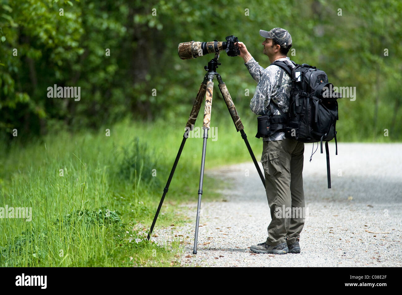 Wildlife photographer with camera and tripod Stock Photo Alamy