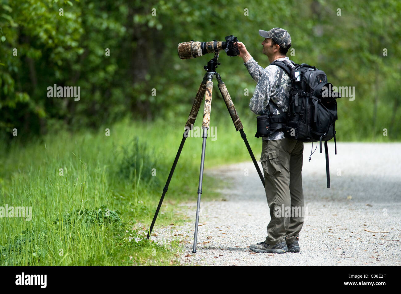 forlænge hykleri Lee Wildlife photographer with camera and tripod Stock Photo - Alamy