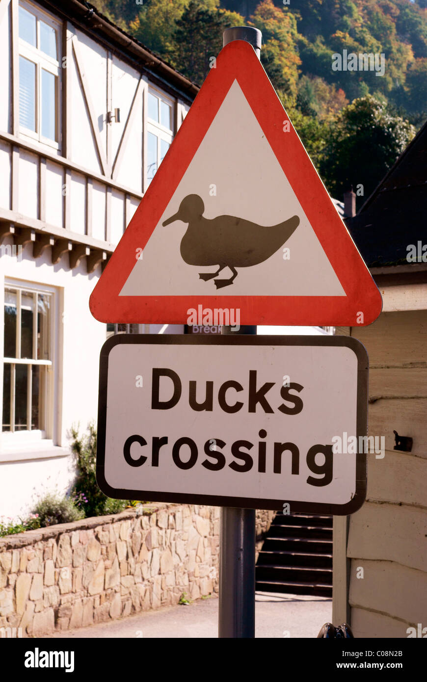 Duck crossing sign next to the river Wye at Symonds Yat Stock Photo