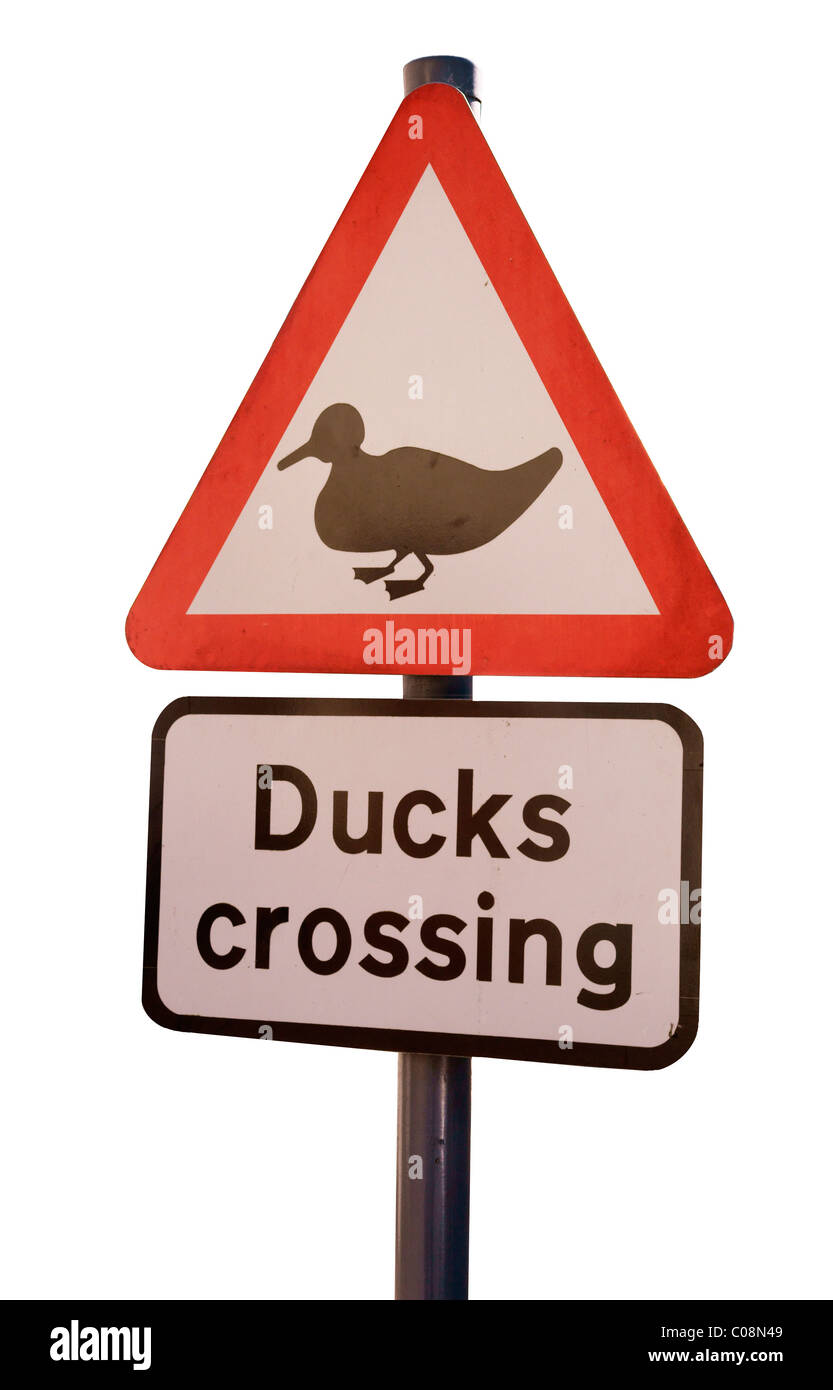 Duck crossing sign next to the river Wye at Symonds Yat Stock Photo