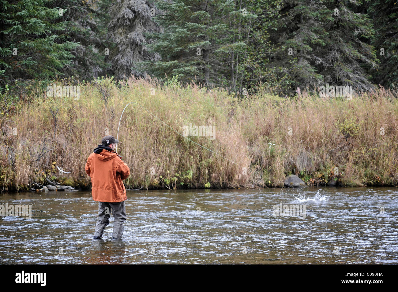 Fly fisherman fishing for Dolly Varden char on Deep Creek, Kenai Peninsula, Southcentral Alaska, Autumn Stock Photo