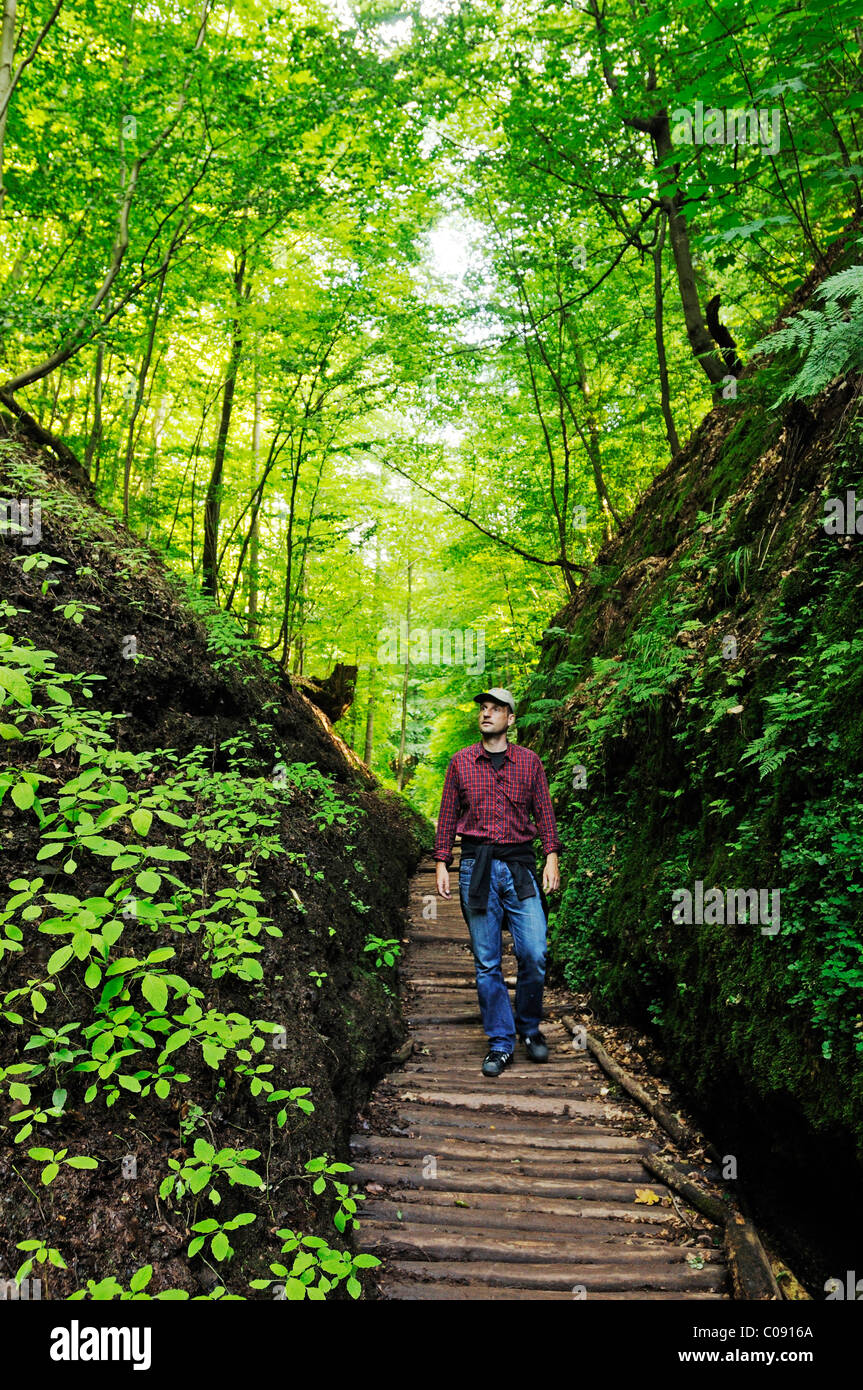 Hiker in the Drachenschlucht gorge near Eisenach in the Thuringian Forest, Naturschutzgebiet Wartburg - Hohe Sonne nature Stock Photo