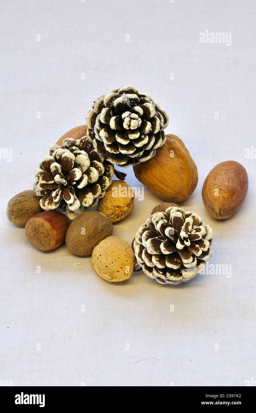 Various nuts (hazel nuts, walnut and almonds) and fir cones at Christmas on a white background. UK December 2010 Stock Photo