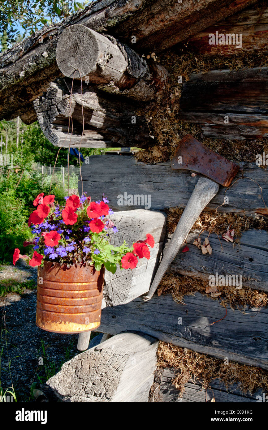 Flowers Hang Outside Log Cabin At Chena Indian Village On The