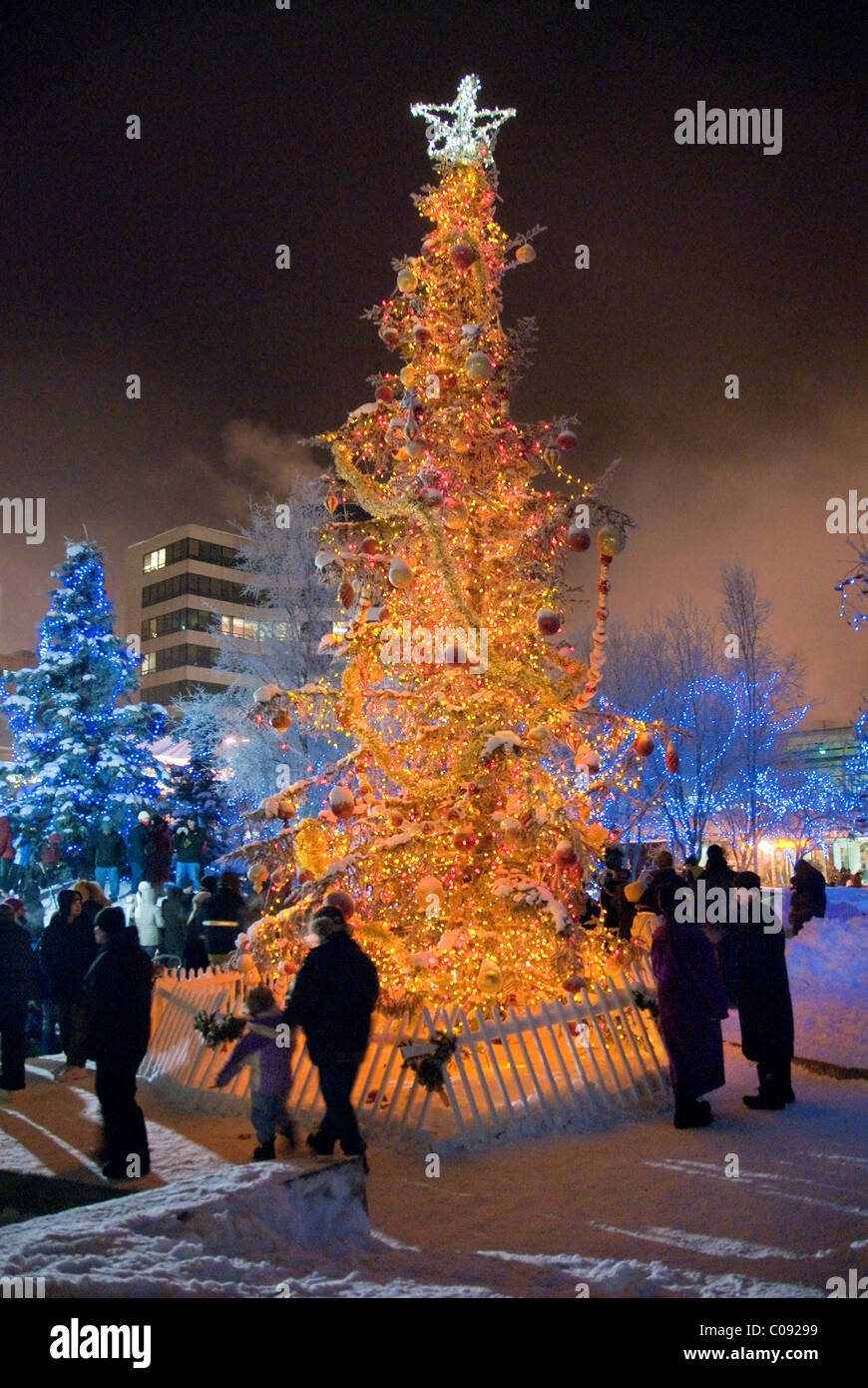 Nighttime view of a lit Christmas tree in the Anchorage Town Square