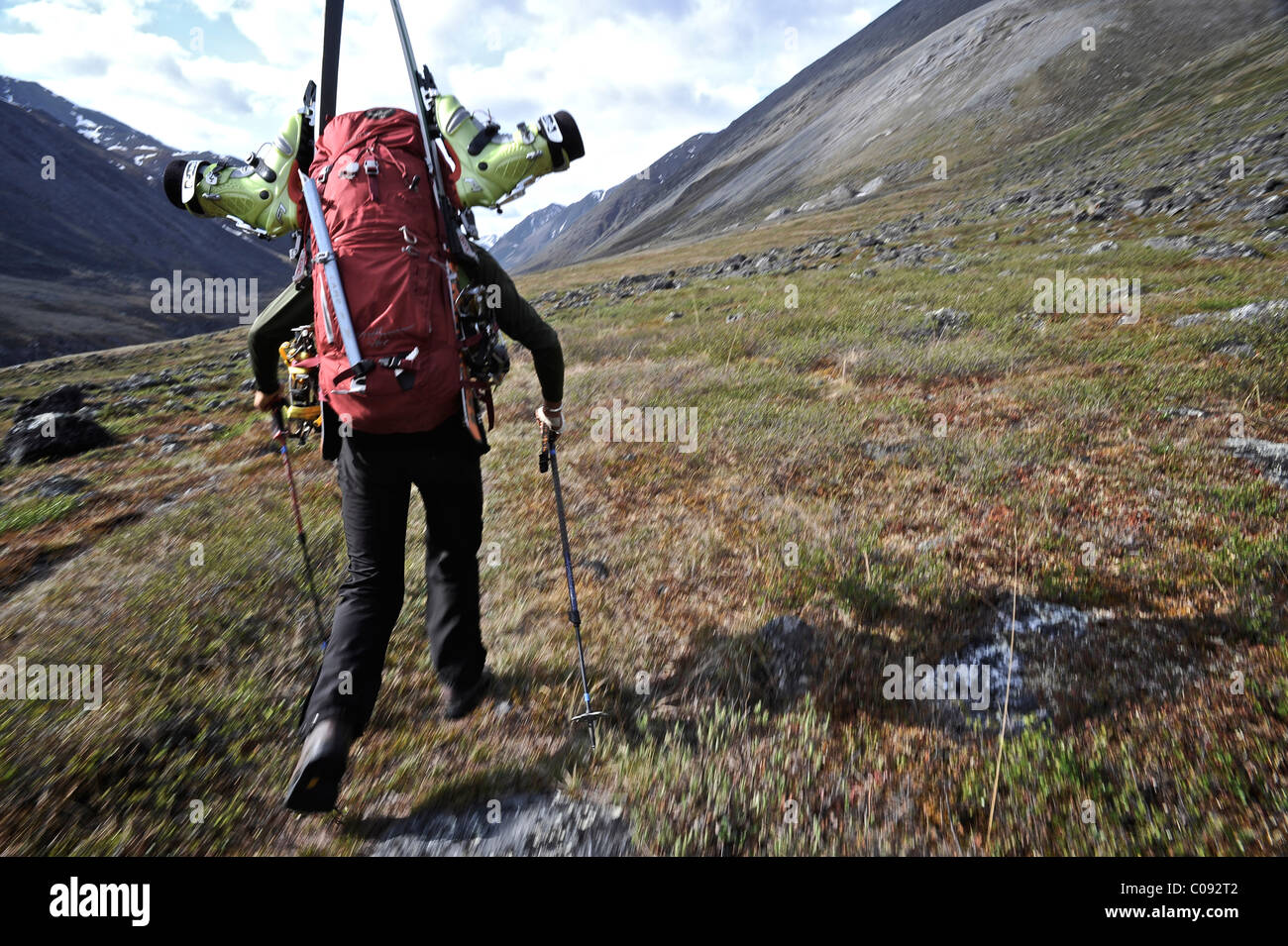 Backcountry skier hikes up the Katak Creek valley with pack and skis, Brooks Range, ANWR, Arctic Alaska, Summer Stock Photo