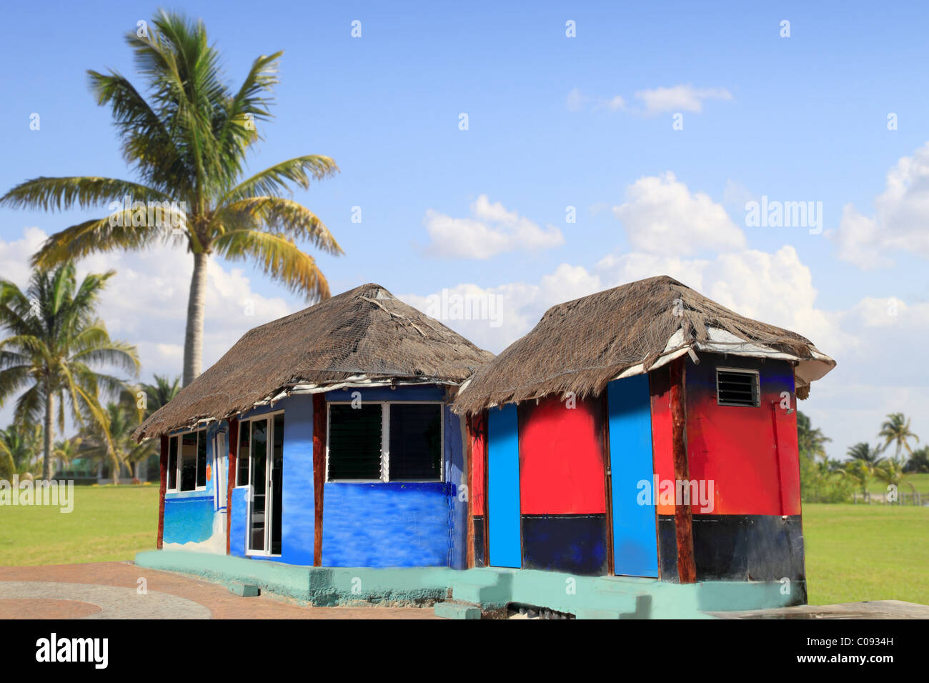 hut palapa colorful with tropical cabin and palm trees Stock Photo