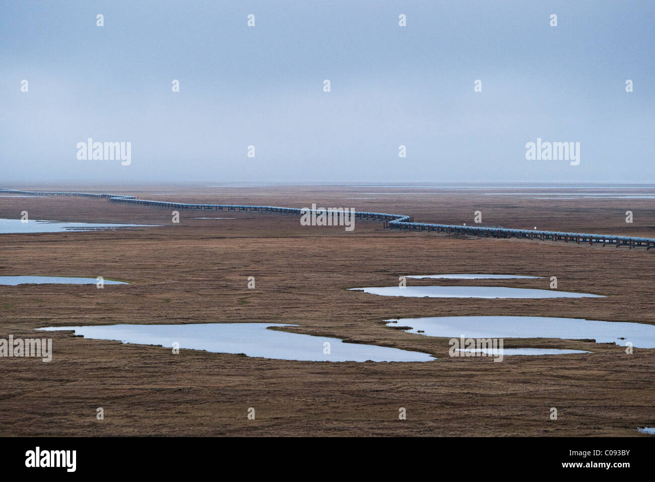 Aerial view of the Trans-Alaska Pipeline crossing the tundra of the coastal plain, Prudhoe Bay, Arctic Alaska, Summer Stock Photo