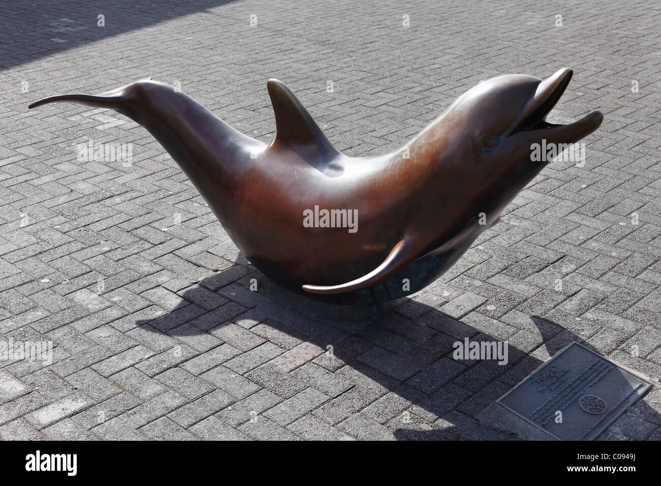 Bronze sculpture of dolphin Fungie 2000, Dingle, County Kerry, Ireland,  British Isles, Europe Stock Photo - Alamy