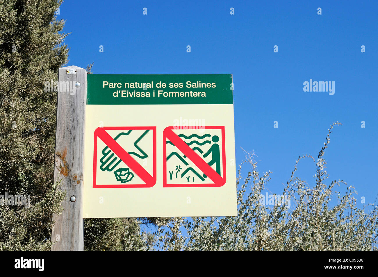 No Littering Spanish