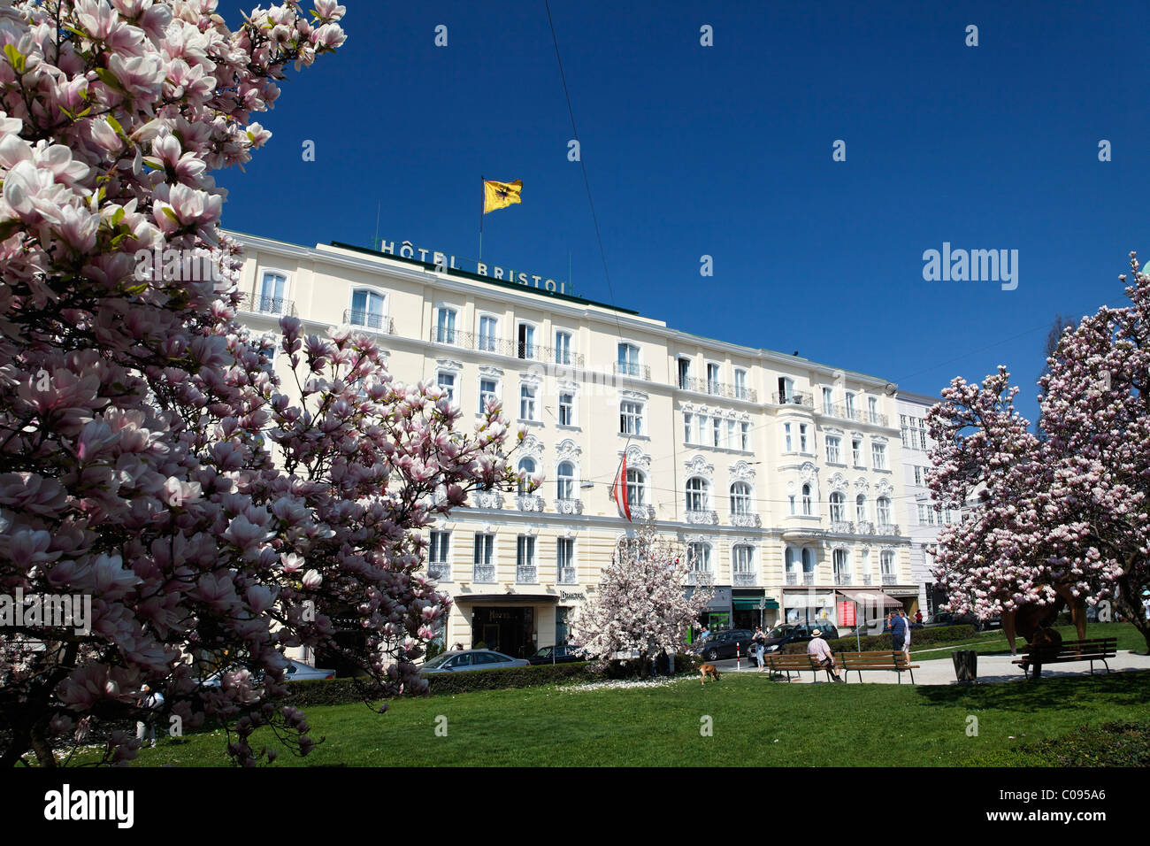 Bristol Hotel and blossoming magnolia trees, Makartplatz Square, Salzburg, historic centre, Salzburger Land, Austria, Europe Stock Photo