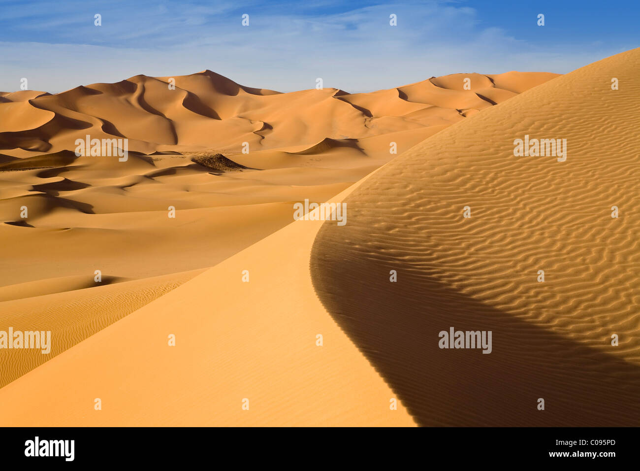 Sand dunes in the Libyan desert, Sahara, Libya, North Africa, Africa ...