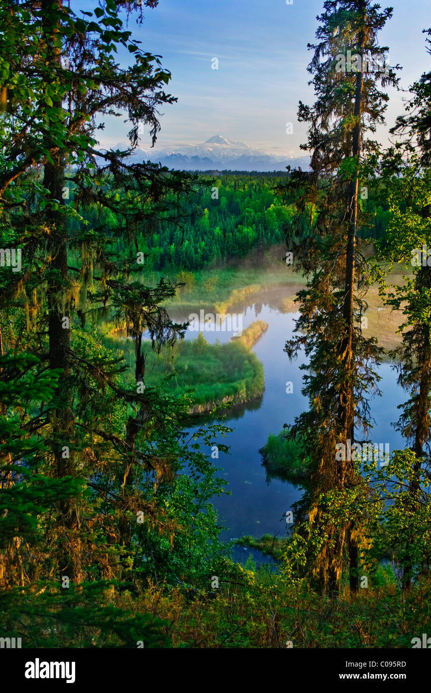 Scenic view of a beaver pond and Twister Creek with Mt. McKinley in the background, near Talkeetna, Southcentral Alaska, Summer Stock Photo