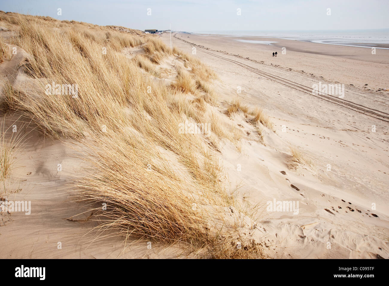 marram grass sand dunes camber sands beach Stock Photo